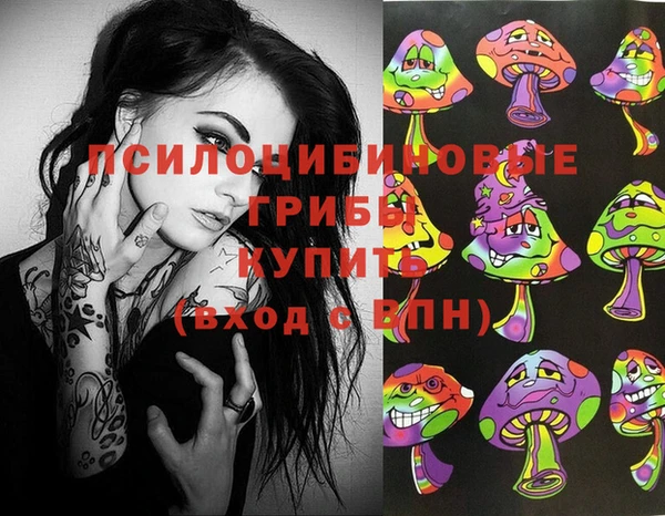 мяу мяу мука Алзамай