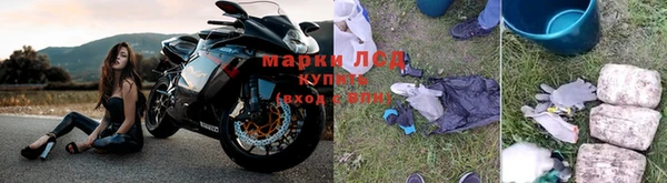 стафф Алексин