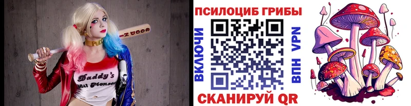 Псилоцибиновые грибы GOLDEN TEACHER Касимов